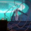 Thumbnail of related posts 149