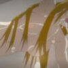 Thumbnail of post image 083